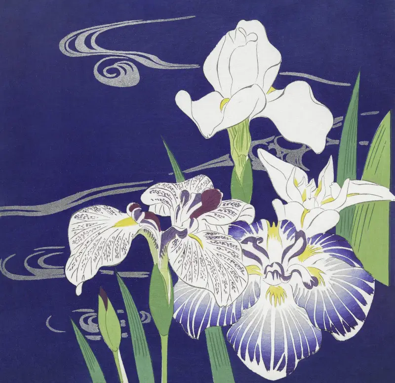 Irises by Kogyo Tsukioka